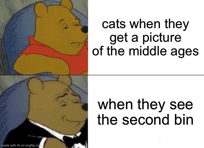 What's in the second bin | cats when they get a picture of the middle ages; when they see the second bin | image tagged in memes,tuxedo winnie the pooh,ai meme,cats | made w/ Imgflip meme maker
