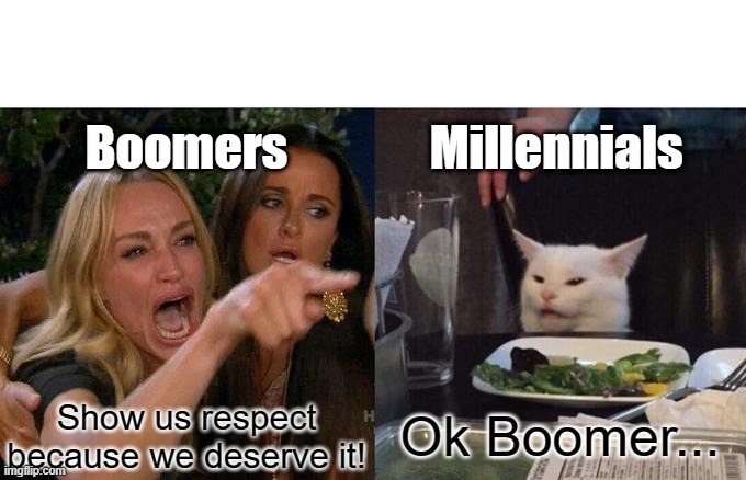 Boomers VS. Millennials | Millennials; Boomers; Ok Boomer... Show us respect because we deserve it! | image tagged in memes,woman yelling at cat | made w/ Imgflip meme maker