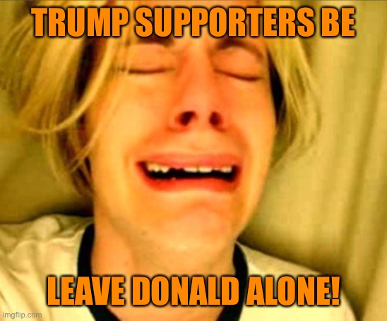 Leave Britney Alone | TRUMP SUPPORTERS BE LEAVE DONALD ALONE! | image tagged in leave britney alone | made w/ Imgflip meme maker