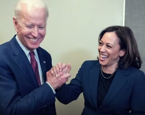 Biden and Harris Blank Meme Template