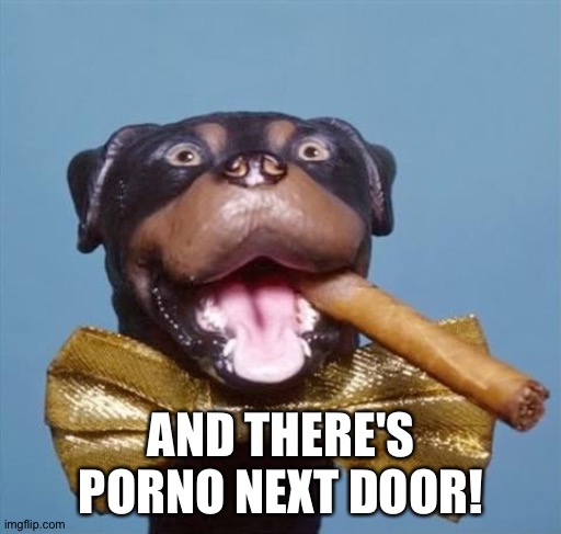 Triumph the Insult Comic Dog | AND THERE'S PORNO NEXT DOOR! | image tagged in triumph the insult comic dog | made w/ Imgflip meme maker