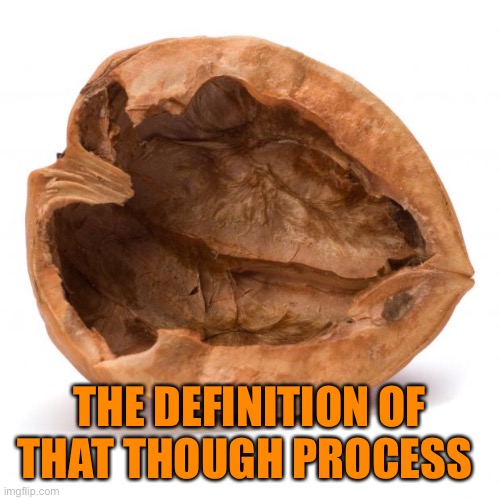 Nutshell | THE DEFINITION OF THAT THOUGH PROCESS | image tagged in nutshell | made w/ Imgflip meme maker