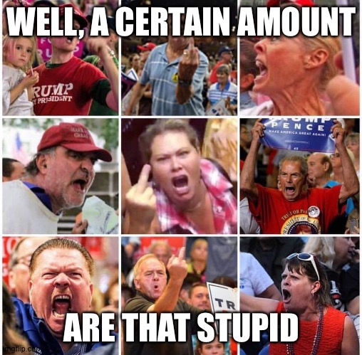 Triggered Trump supporters | WELL, A CERTAIN AMOUNT ARE THAT STUPID | image tagged in triggered trump supporters | made w/ Imgflip meme maker