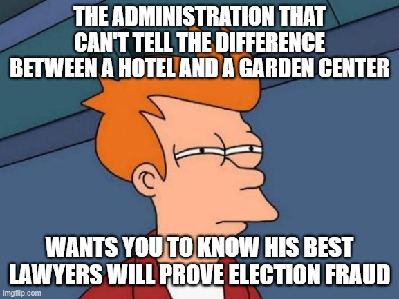 Futurama Fry Meme | THE ADMINISTRATION THAT CAN'T TELL THE DIFFERENCE BETWEEN A HOTEL AND A GARDEN CENTER; WANTS YOU TO KNOW HIS BEST LAWYERS WILL PROVE ELECTION FRAUD | image tagged in memes,futurama fry | made w/ Imgflip meme maker