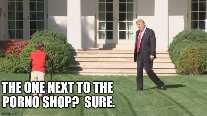 Trump lawnmower kid | THE ONE NEXT TO THE 
PORNO SHOP?  SURE. | image tagged in trump lawnmower kid | made w/ Imgflip meme maker