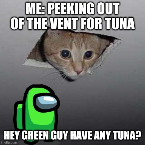 ya got tuna? | ME: PEEKING OUT OF THE VENT FOR TUNA; HEY GREEN GUY HAVE ANY TUNA? | made w/ Imgflip meme maker