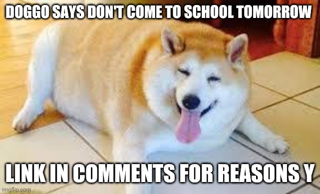 Thicc Doggo | DOGGO SAYS DON'T COME TO SCHOOL TOMORROW; LINK IN COMMENTS FOR REASONS Y | image tagged in thicc doggo | made w/ Imgflip meme maker