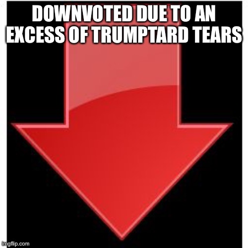 downvotes | DOWNVOTED DUE TO AN EXCESS OF TRUMPTARD TEARS | image tagged in downvotes | made w/ Imgflip meme maker