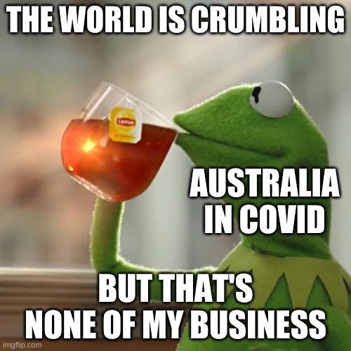 This is what the aussies are doing right now | THE WORLD IS CRUMBLING; AUSTRALIA IN COVID; BUT THAT'S NONE OF MY BUSINESS | image tagged in memes,but that's none of my business,kermit the frog,2020,2020 sucks | made w/ Imgflip meme maker