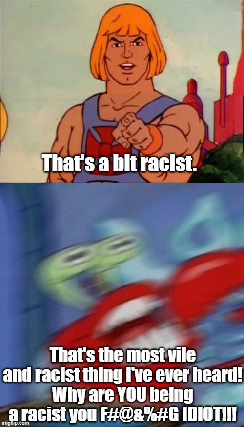 Remind you of anyone? | That's a bit racist. That's the most vile and racist thing I've ever heard!
Why are YOU being a racist you F#@&%#G IDIOT!!! | image tagged in racist,trolls,frustrating,assholes | made w/ Imgflip meme maker