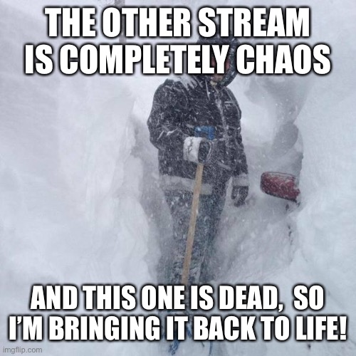 Hey mods! Remember this stream? | THE OTHER STREAM IS COMPLETELY CHAOS; AND THIS ONE IS DEAD,  SO I’M BRINGING IT BACK TO LIFE! | image tagged in snow | made w/ Imgflip meme maker