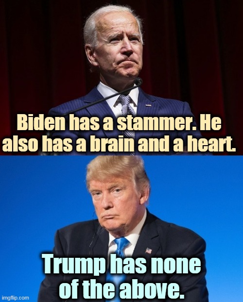Biden also has five million legitimate votes Trump doesn't have. | Biden has a stammer. He also has a brain and a heart. Trump has none of the above. | image tagged in biden,brain,heart,trump,empty | made w/ Imgflip meme maker