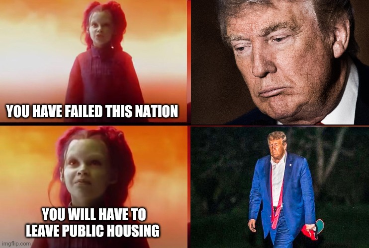 thanos what did it cost | YOU HAVE FAILED THIS NATION; YOU WILL HAVE TO LEAVE PUBLIC HOUSING | image tagged in thanos what did it cost | made w/ Imgflip meme maker