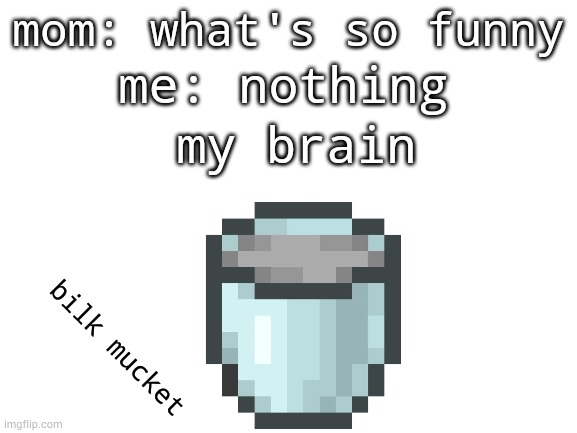 Blank White Template | me: nothing; mom: what's so funny; my brain; bilk mucket | image tagged in blank white template,minecraft | made w/ Imgflip meme maker
