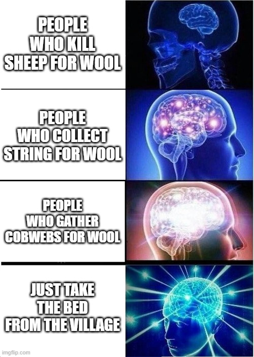 Expanding Brain | PEOPLE WHO KILL SHEEP FOR WOOL; PEOPLE WHO COLLECT STRING FOR WOOL; PEOPLE WHO GATHER COBWEBS FOR WOOL; JUST TAKE THE BED FROM THE VILLAGE | image tagged in memes,expanding brain | made w/ Imgflip meme maker