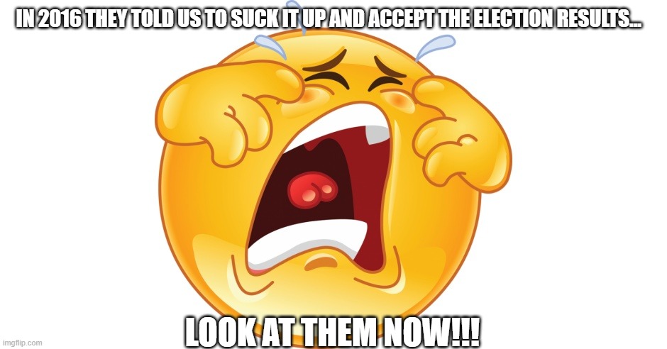 Cry Babies... | IN 2016 THEY TOLD US TO SUCK IT UP AND ACCEPT THE ELECTION RESULTS... LOOK AT THEM NOW!!! | image tagged in trump supporters | made w/ Imgflip meme maker