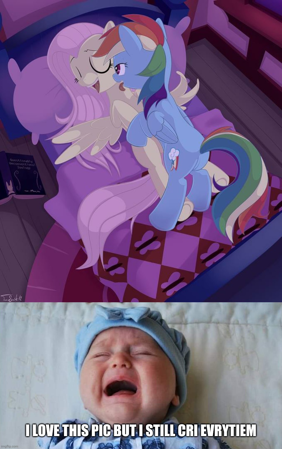 What a baby Brony said while see Flutterdash | I LOVE THIS PIC BUT I STILL CRI EVRYTIEM | image tagged in crying baby,mlp fim | made w/ Imgflip meme maker