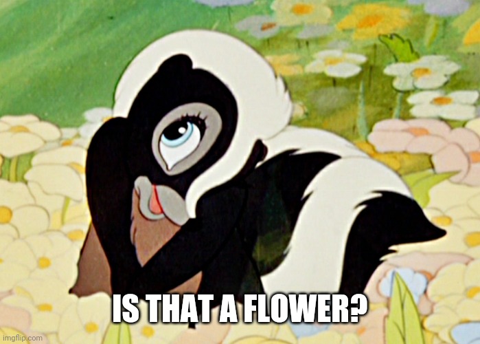 IS THAT A FLOWER? | made w/ Imgflip meme maker