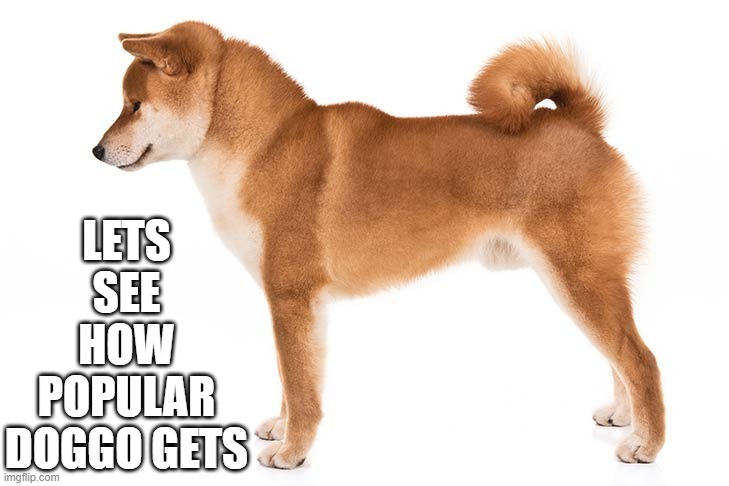 DOGGO | LETS SEE HOW POPULAR DOGGO GETS | image tagged in doggo,memes | made w/ Imgflip meme maker