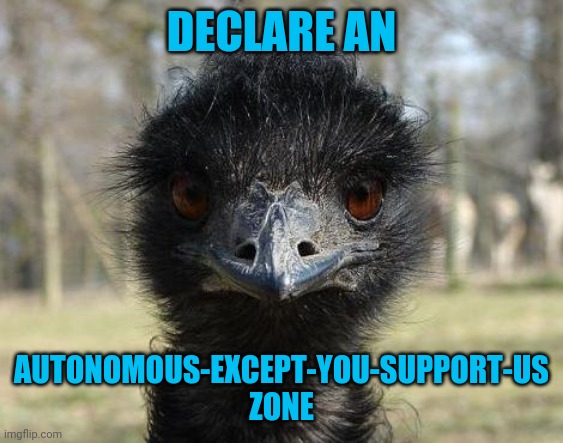 Bad News Emu | DECLARE AN AUTONOMOUS-EXCEPT-YOU-SUPPORT-US
ZONE | image tagged in bad news emu | made w/ Imgflip meme maker