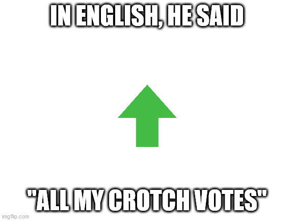 Blank White Template | IN ENGLISH, HE SAID "ALL MY CROTCH VOTES" | image tagged in blank white template | made w/ Imgflip meme maker