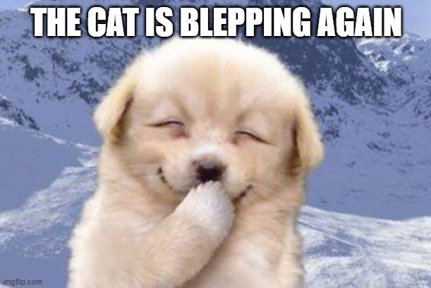 Laughing dog | THE CAT IS BLEPPING AGAIN | image tagged in laughing dog | made w/ Imgflip meme maker