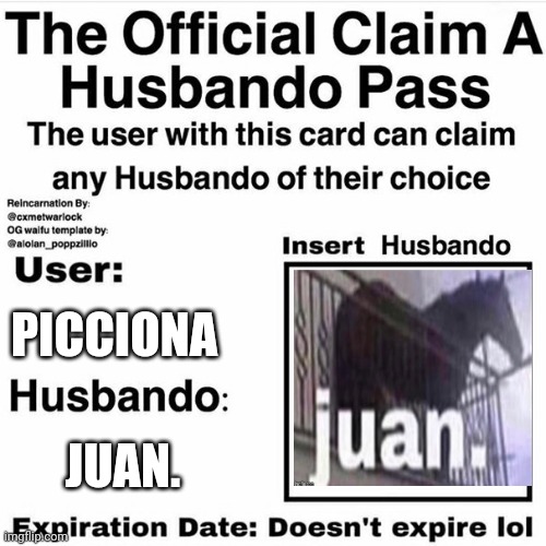 >:3 | PICCIONA; JUAN. | image tagged in claim your husbando | made w/ Imgflip meme maker