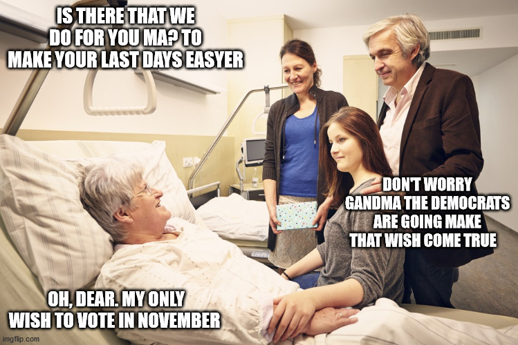 Grandma last wish was to vote in November | IS THERE THAT WE DO FOR YOU MA? TO MAKE YOUR LAST DAYS EASYER; DON'T WORRY GANDMA THE DEMOCRATS ARE GOING MAKE THAT WISH COME TRUE; OH, DEAR. MY ONLY WISH TO VOTE IN NOVEMBER | image tagged in election 2020 | made w/ Imgflip meme maker