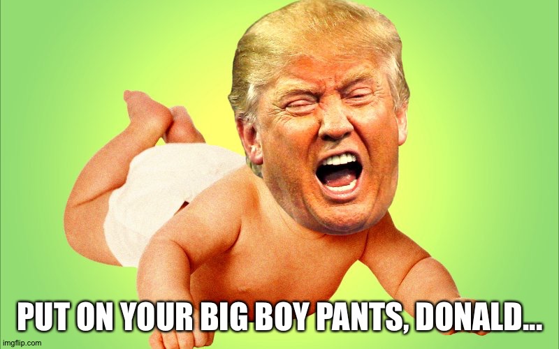 big boy pants time | PUT ON YOUR BIG BOY PANTS, DONALD... | image tagged in cry baby trump | made w/ Imgflip meme maker