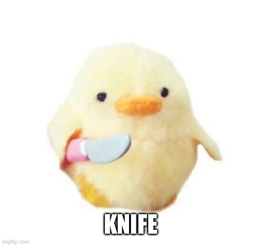 Duck with knife | KNIFE | image tagged in duck with knife | made w/ Imgflip meme maker