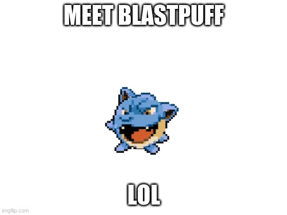  MEET BLASTPUFF; LOL | image tagged in blank white template,pokemon,pokemon fusion | made w/ Imgflip meme maker