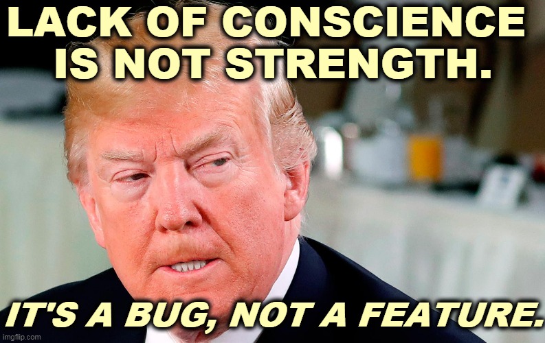 Snowflake with parts missing. | LACK OF CONSCIENCE 
IS NOT STRENGTH. IT'S A BUG, NOT A FEATURE. | image tagged in trump lip curl as his world goes to shit,trump,morality,vacuum,weakness,snowflake | made w/ Imgflip meme maker