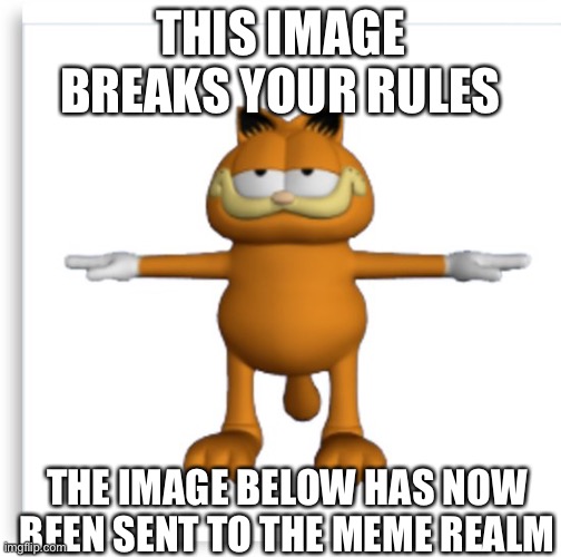 garfield tpose | THIS IMAGE BREAKS YOUR RULES; THE IMAGE BELOW HAS NOW BEEN SENT TO THE MEME REALM | image tagged in garfield tpose | made w/ Imgflip meme maker