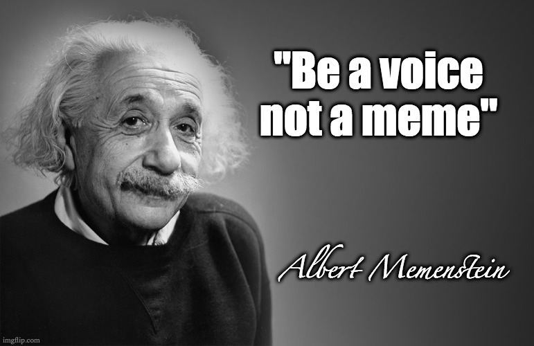 Be a Voice Not a Meme | "Be a voice not a meme"; Albert Memenstein | image tagged in albert einstein,mmfa,funny memes,funny meme,makememesfunnyagain | made w/ Imgflip meme maker