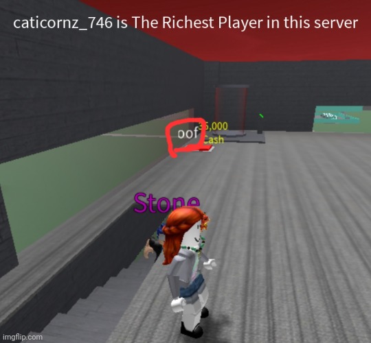 It is supposed to say roof..... And I am the richest player in the server! | image tagged in eh normal tag | made w/ Imgflip meme maker