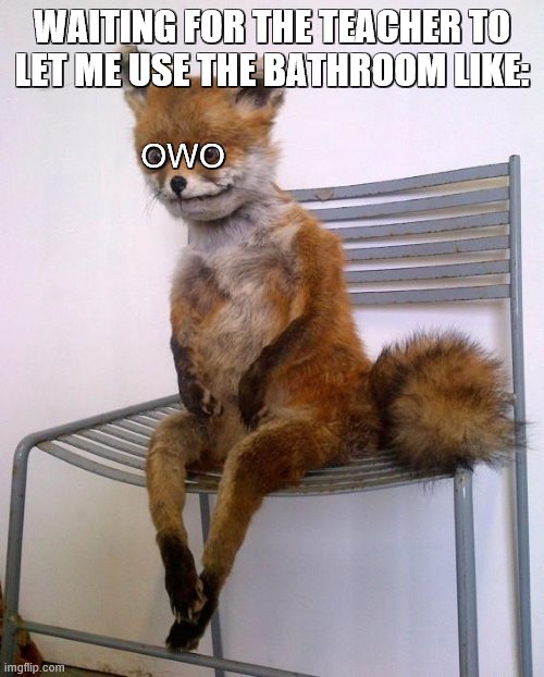 owo part's a dare | WAITING FOR THE TEACHER TO LET ME USE THE BATHROOM LIKE:; OWO | image tagged in stoned fox | made w/ Imgflip meme maker