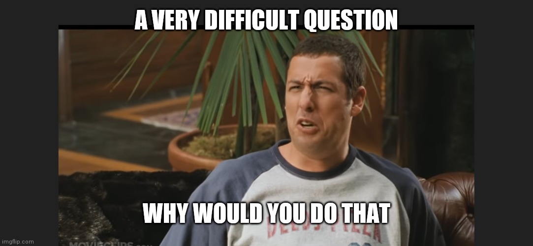 Why Would You Do That | A VERY DIFFICULT QUESTION WHY WOULD YOU DO THAT | image tagged in why would you do that | made w/ Imgflip meme maker