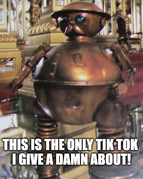 Return to Oz | THIS IS THE ONLY TIK TOK 
I GIVE A DAMN ABOUT! | image tagged in tik tok | made w/ Imgflip meme maker