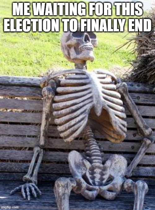 Waiting Skeleton | ME WAITING FOR THIS ELECTION TO FINALLY END | image tagged in memes,waiting skeleton | made w/ Imgflip meme maker