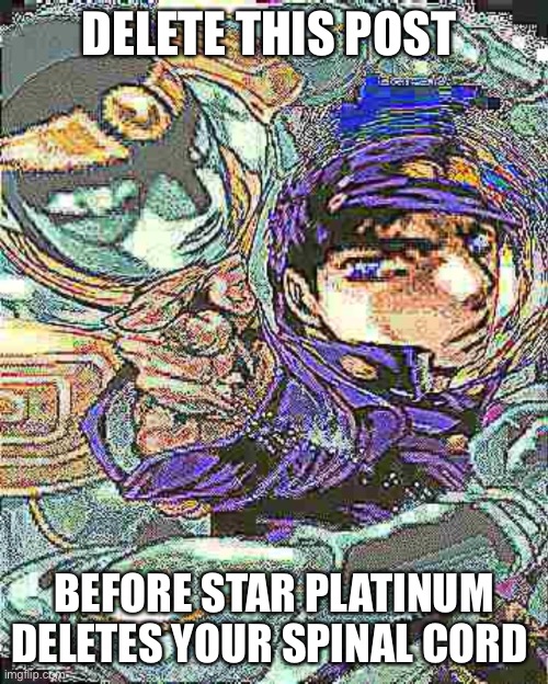 Jotaro didnt like that | DELETE THIS POST BEFORE STAR PLATINUM DELETES YOUR SPINAL CORD | image tagged in jotaro didnt like that | made w/ Imgflip meme maker