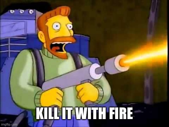 Kill it with fire | KILL IT WITH FIRE | image tagged in kill it with fire | made w/ Imgflip meme maker