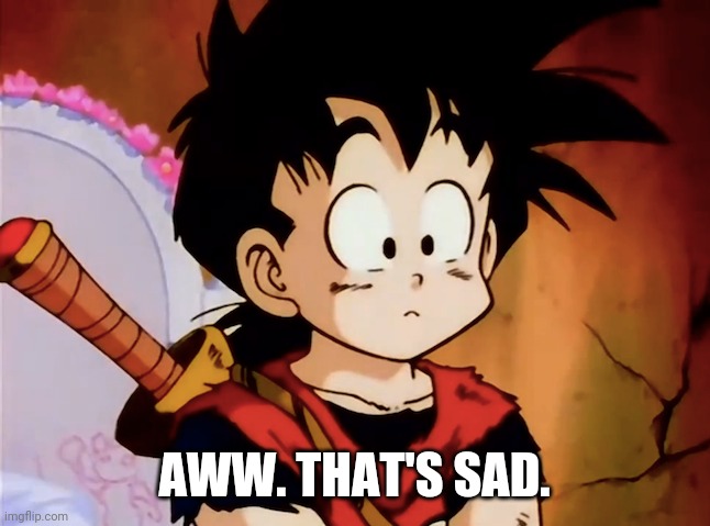 Unsured Gohan (DBZ) | AWW. THAT'S SAD. | image tagged in unsured gohan dbz | made w/ Imgflip meme maker