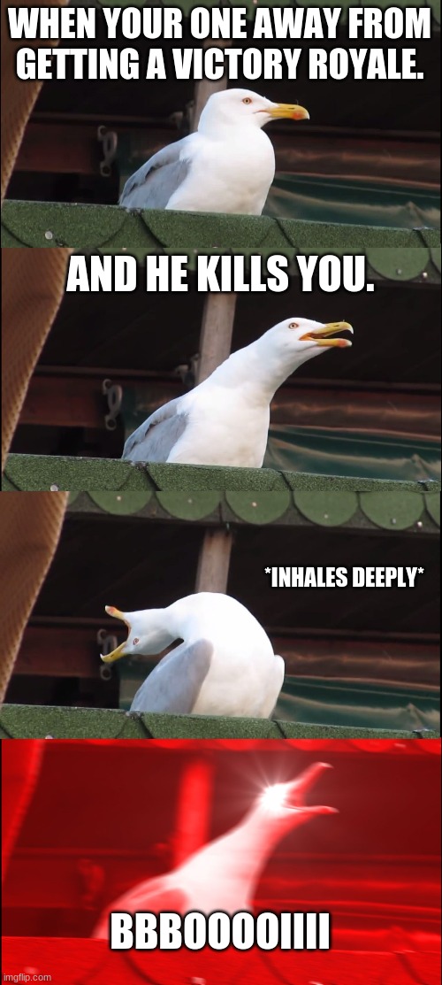 Inhaling Seagull Meme | WHEN YOUR ONE AWAY FROM GETTING A VICTORY ROYALE. AND HE KILLS YOU. *INHALES DEEPLY*; BBBOOOOIIII | image tagged in memes,inhaling seagull | made w/ Imgflip meme maker