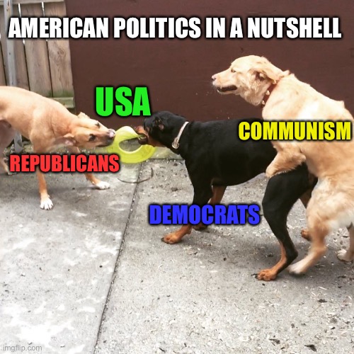 We’re screwed | AMERICAN POLITICS IN A NUTSHELL; USA; COMMUNISM; REPUBLICANS; DEMOCRATS | image tagged in one sided dog fight,politics,election,usa | made w/ Imgflip meme maker