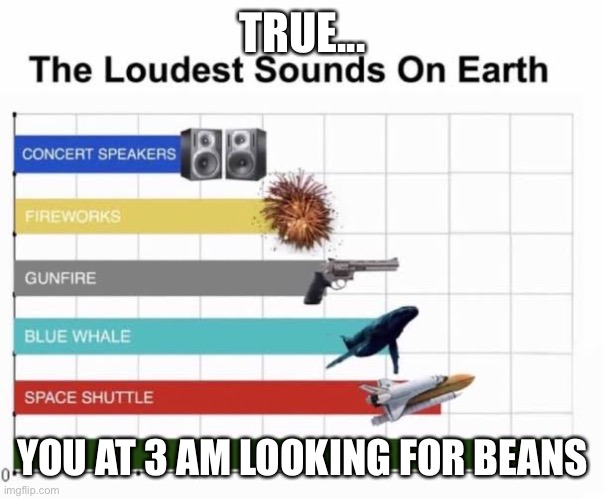 It’s true ngl | TRUE... YOU AT 3 AM LOOKING FOR BEANS | image tagged in the loudest sounds on earth | made w/ Imgflip meme maker