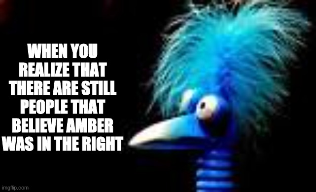 yes | WHEN YOU REALIZE THAT THERE ARE STILL PEOPLE THAT BELIEVE AMBER WAS IN THE RIGHT | image tagged in weird bird | made w/ Imgflip meme maker