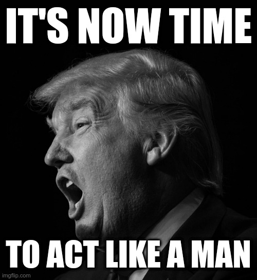 It's Now Time to Act Like a Man | IT'S NOW TIME; TO ACT LIKE A MAN | image tagged in trump,loser,act like a man,not a 5 year old | made w/ Imgflip meme maker