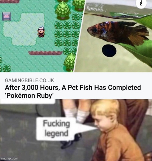 You read that right | made w/ Imgflip meme maker