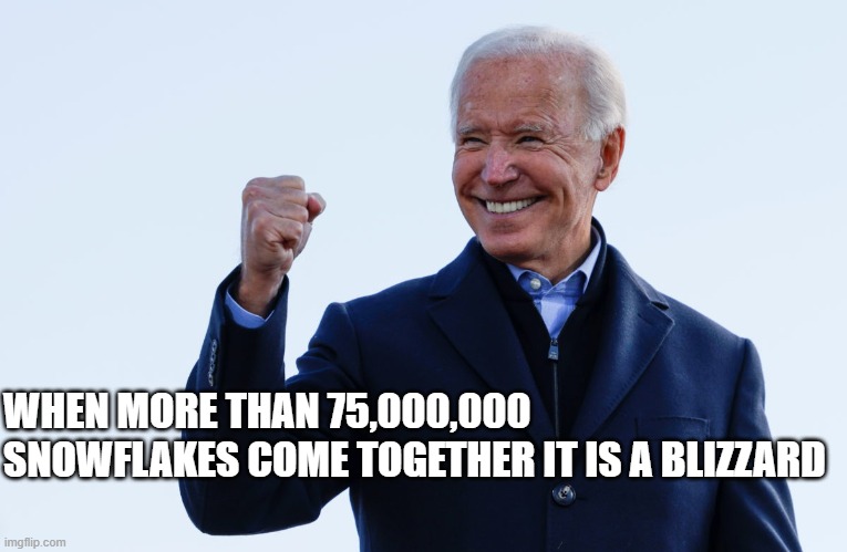 Biden Wins | WHEN MORE THAN 75,000,000 SNOWFLAKES COME TOGETHER IT IS A BLIZZARD | image tagged in biden wins | made w/ Imgflip meme maker