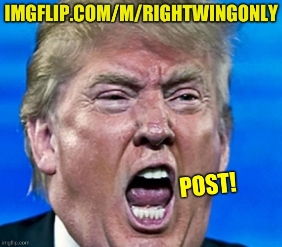 trump yelling | IMGFLIP.COM/M/RIGHTWINGONLY; POST! | image tagged in trump yelling | made w/ Imgflip meme maker
